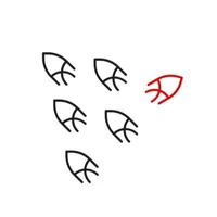 model logo